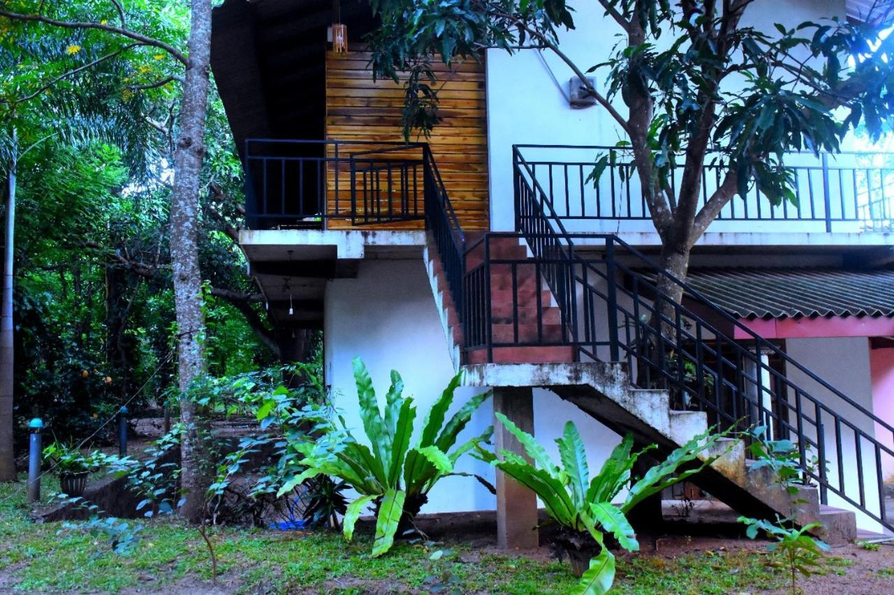 Hotel Wild Heaven Udawalawe Zewnętrze zdjęcie