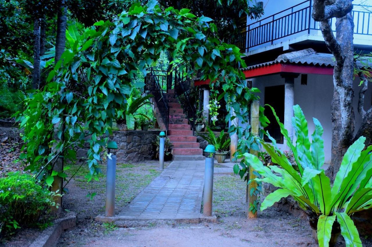 Hotel Wild Heaven Udawalawe Zewnętrze zdjęcie