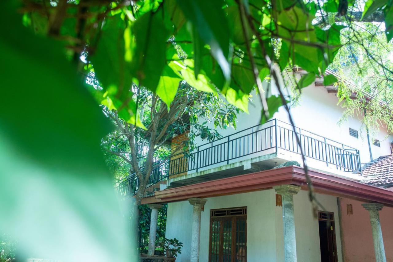 Hotel Wild Heaven Udawalawe Zewnętrze zdjęcie