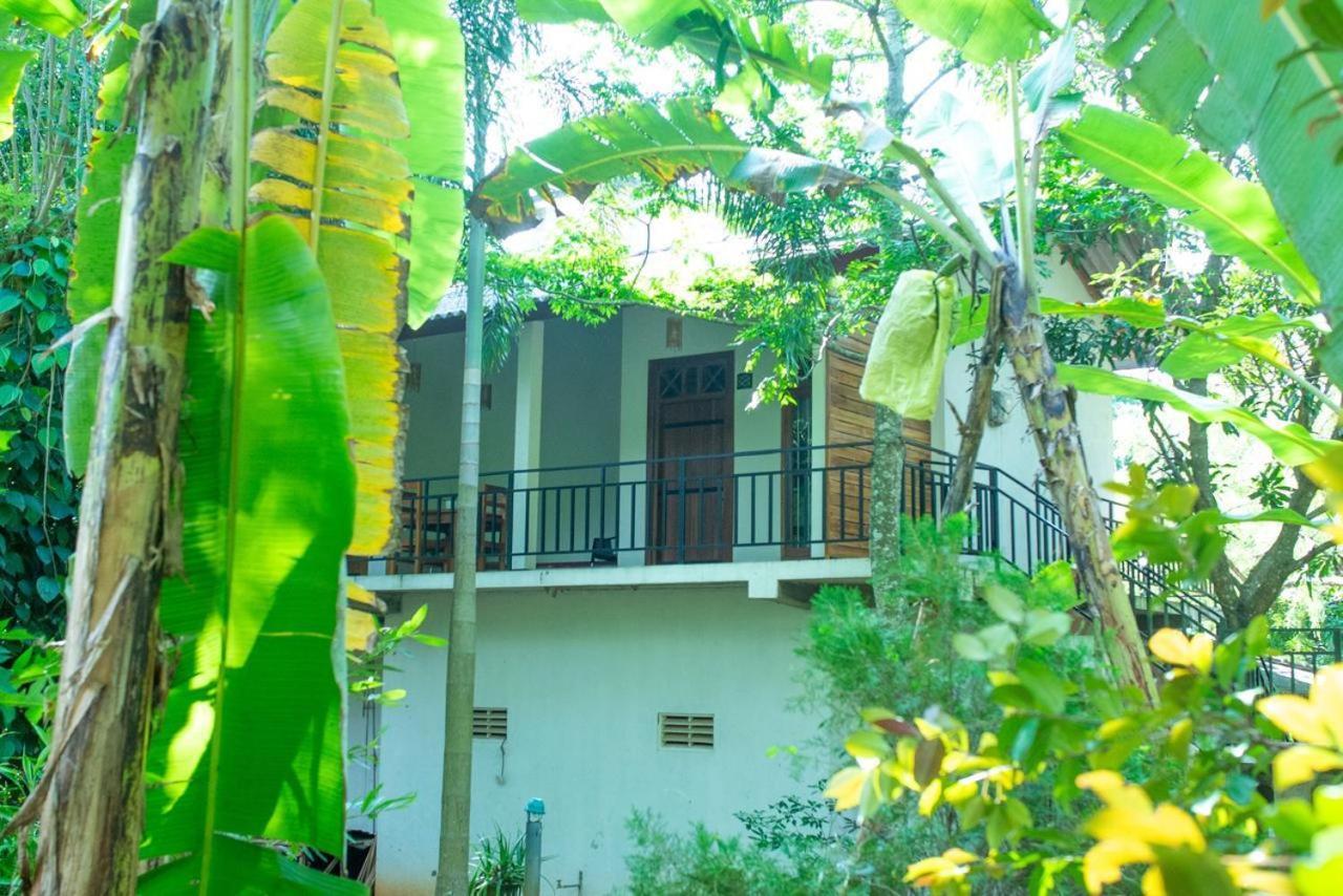 Hotel Wild Heaven Udawalawe Zewnętrze zdjęcie