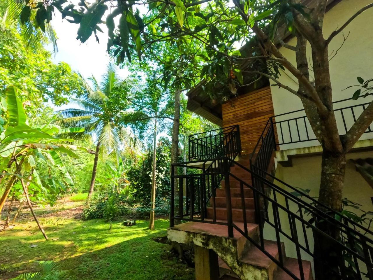 Hotel Wild Heaven Udawalawe Zewnętrze zdjęcie