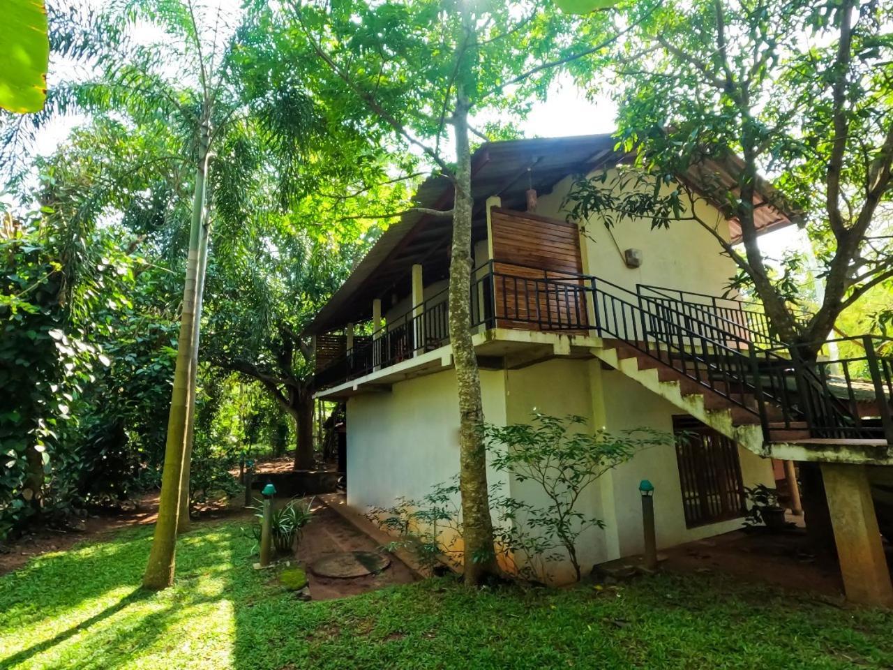Hotel Wild Heaven Udawalawe Zewnętrze zdjęcie