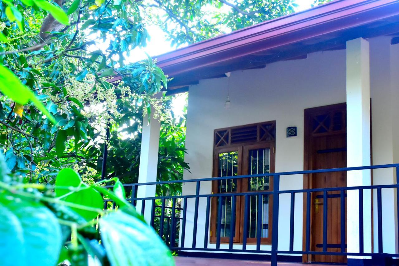 Hotel Wild Heaven Udawalawe Zewnętrze zdjęcie